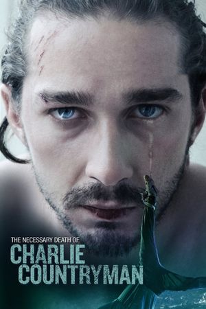 Charlie Countryman's poster