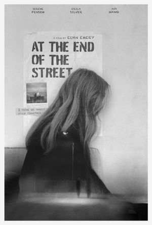 At the End of the Street's poster