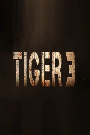 Tiger 3's poster