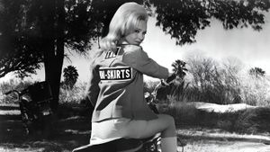 The Mini-Skirt Mob's poster