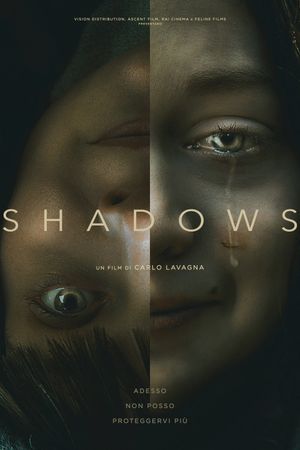 Shadows's poster