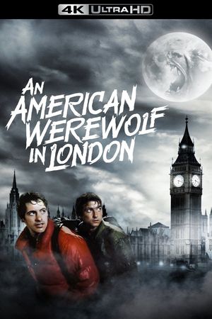 An American Werewolf in London's poster