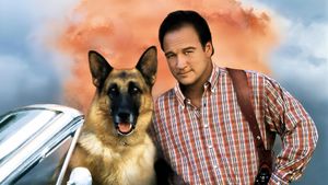 K-911's poster