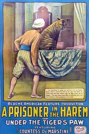 A Prisoner in the Harem's poster
