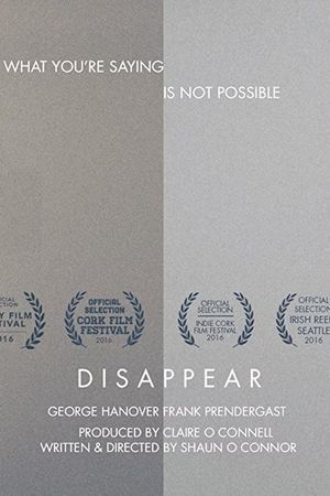 Disappear's poster