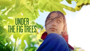 Under the Fig Trees's poster