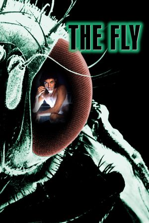 The Fly's poster