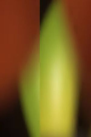 Stretch and Pull's poster