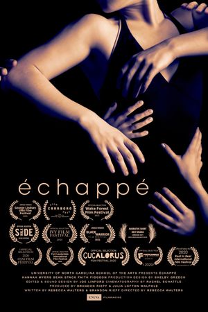 échappé's poster