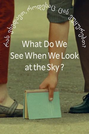 What Do We See When We Look at the Sky?'s poster