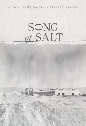 Song of Salt's poster