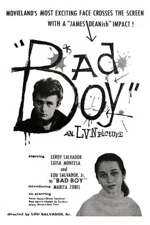 Bad Boy's poster