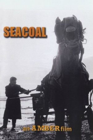 Seacoal's poster