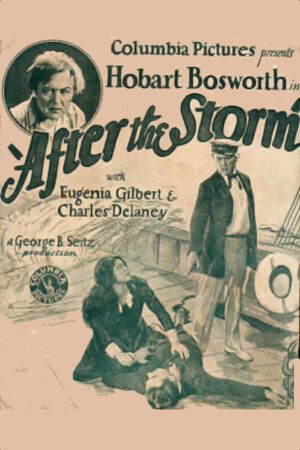 After the Storm's poster