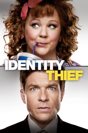 Identity Thief's poster