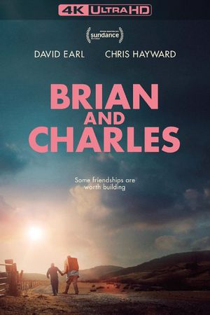 Brian and Charles's poster