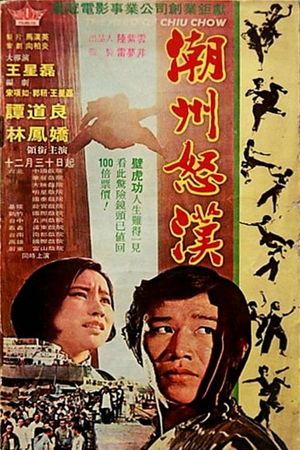 The Hero of Chiu Chow's poster