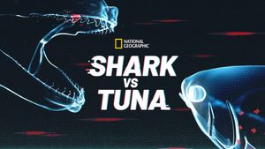 Shark vs. Tuna's poster