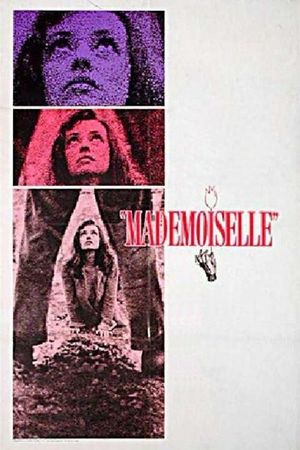 Mademoiselle's poster
