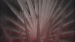 Nowhere Fast's poster