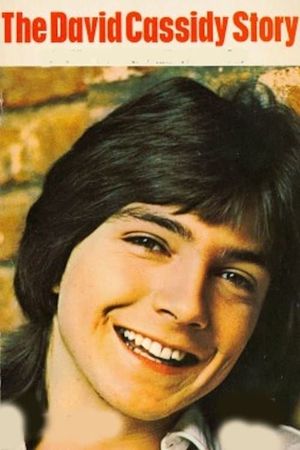 The David Cassidy Story's poster image