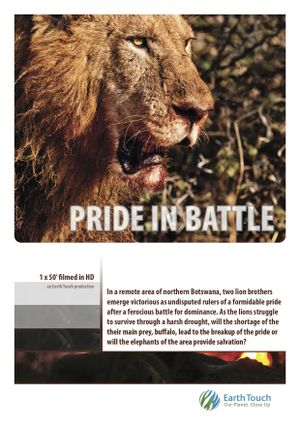 Pride in Battle's poster