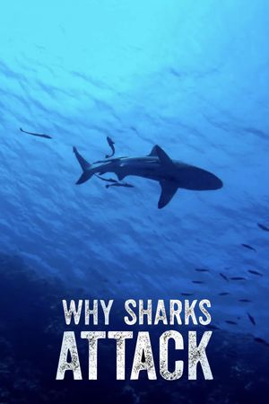 Why Sharks Attack's poster image