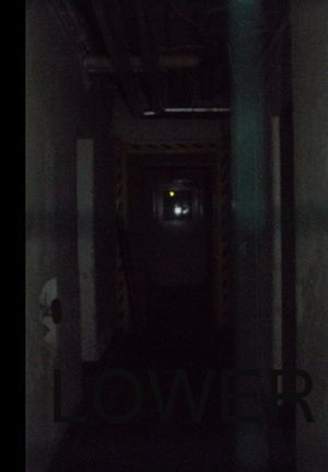 Lower's poster