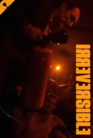 Irreversible's poster