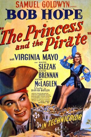 The Princess and the Pirate's poster