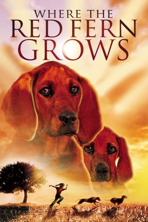 Where the Red Fern Grows's poster