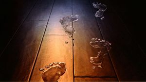 Lady in the Water's poster