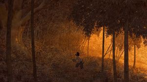 The Red Turtle's poster