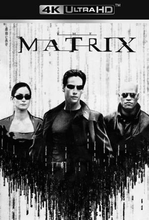 The Matrix's poster