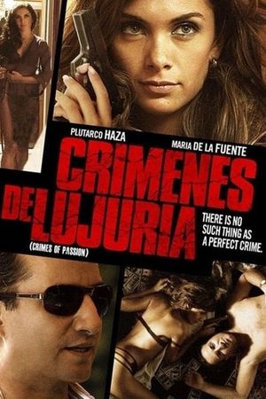 Crimes of Passion's poster
