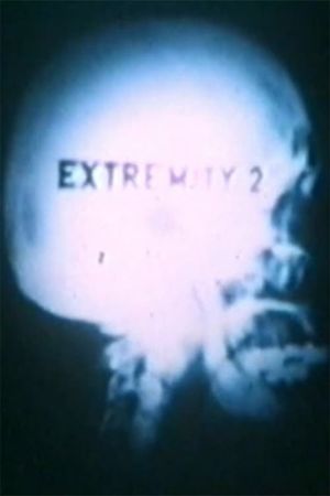 Extremity n°2's poster