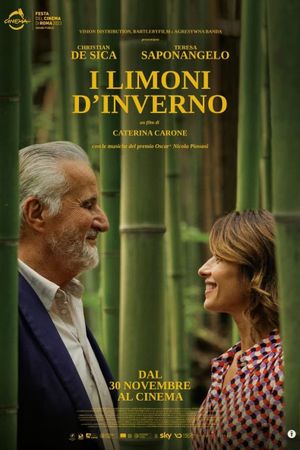 I limoni d'inverno's poster