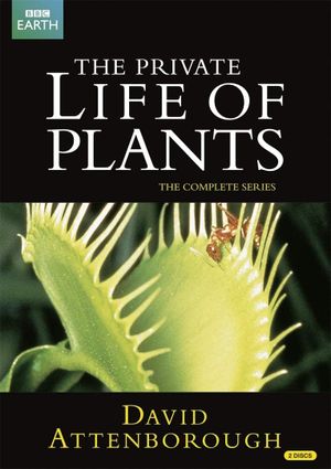 The Private Life of Plants's poster
