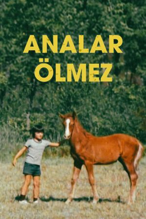Analar Ölmez's poster