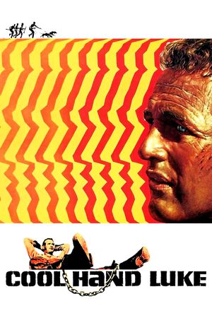 Cool Hand Luke's poster
