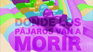 Donde los pájaros van a morir's poster