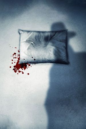 The Nightmare's poster