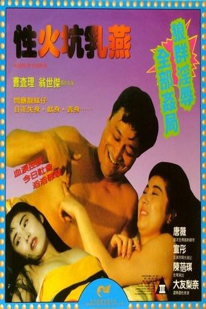 Maids of Passion's poster