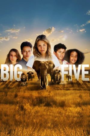 Big Five's poster
