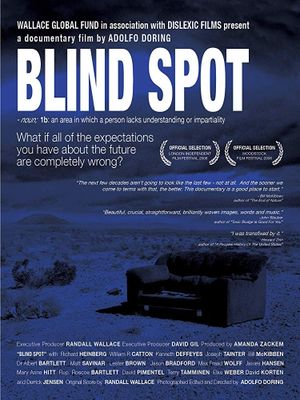 Blind Spot's poster