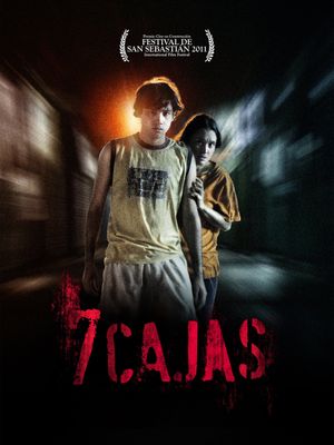 7 Boxes's poster