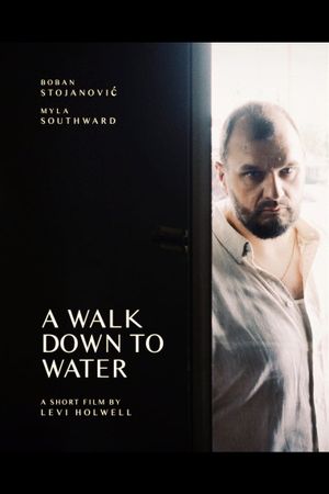 A Walk Down to Water's poster