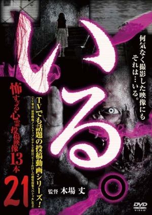 「Iru.」~ Kowasugiru Tōkō Eizō 13-hon ~ Vol.21's poster