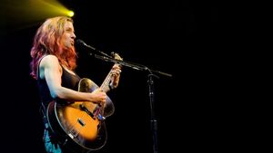 Ani DiFranco - Live at Babeville's poster