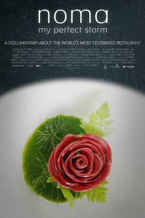 Noma: My Perfect Storm's poster